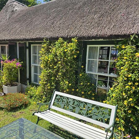 Meyerhof Apartman Fokváros Kültér fotó